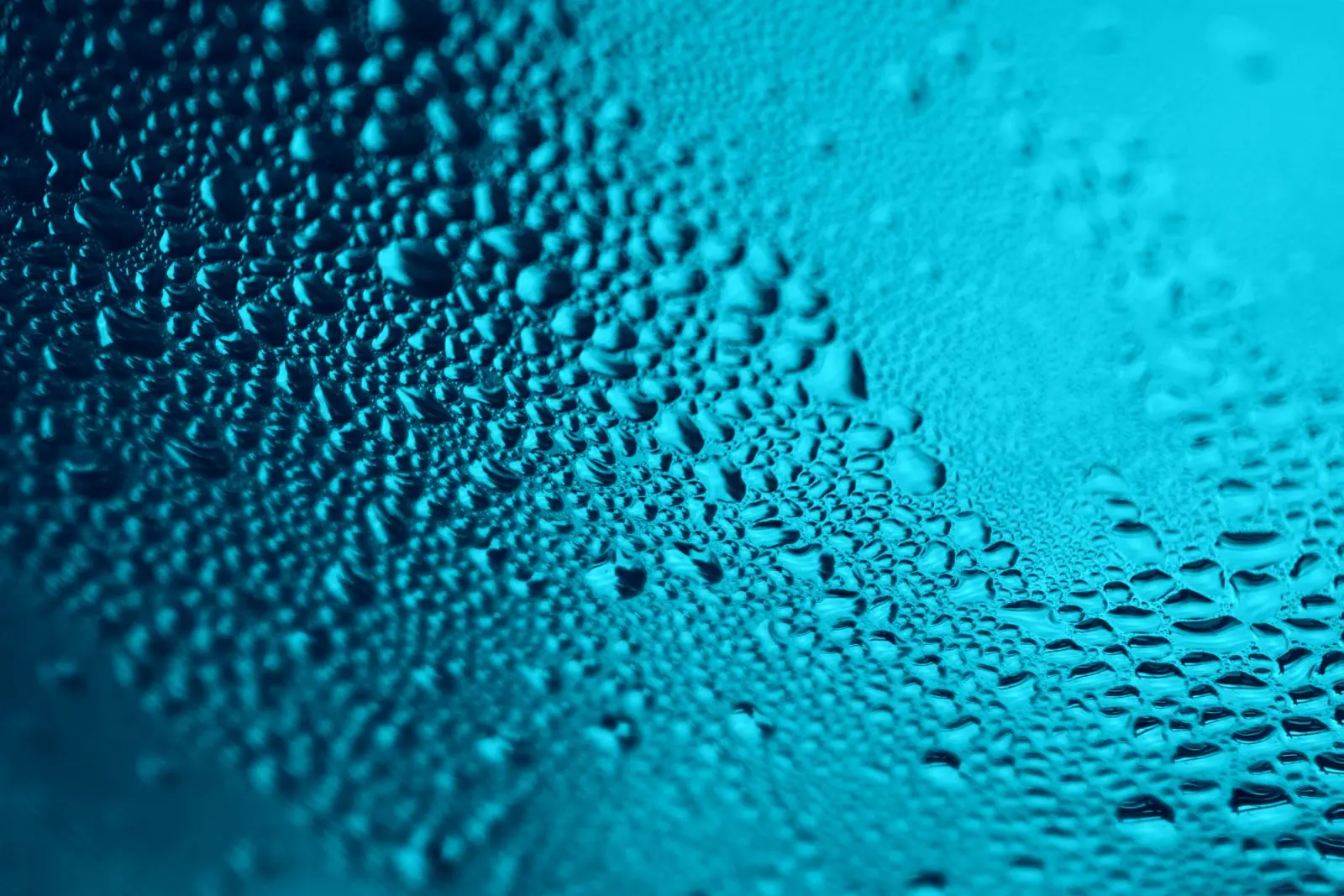 Close-up of water droplets from condensation on a surface